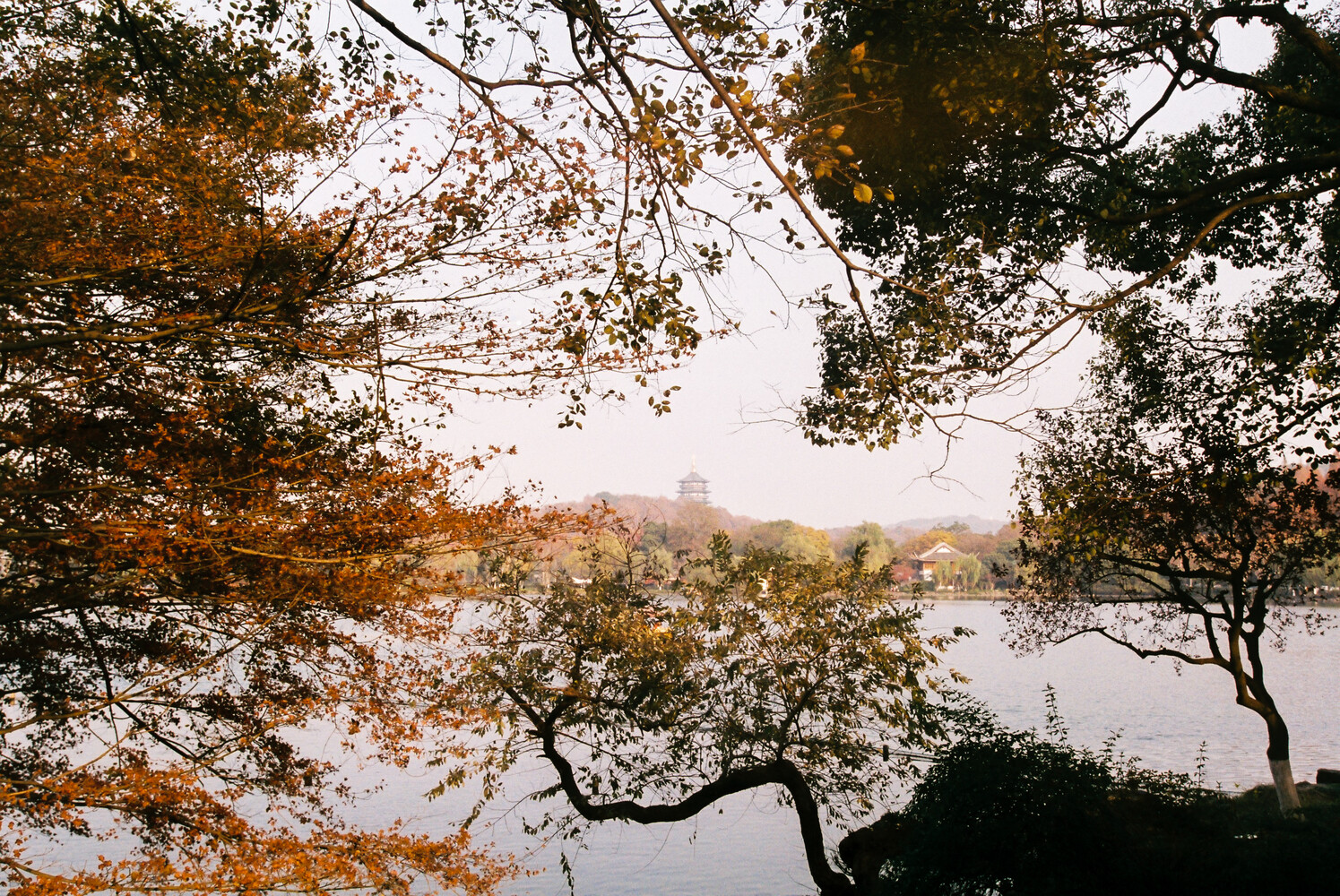 View Leifeng Pagoda - West Lake by Muhammed Sharaf