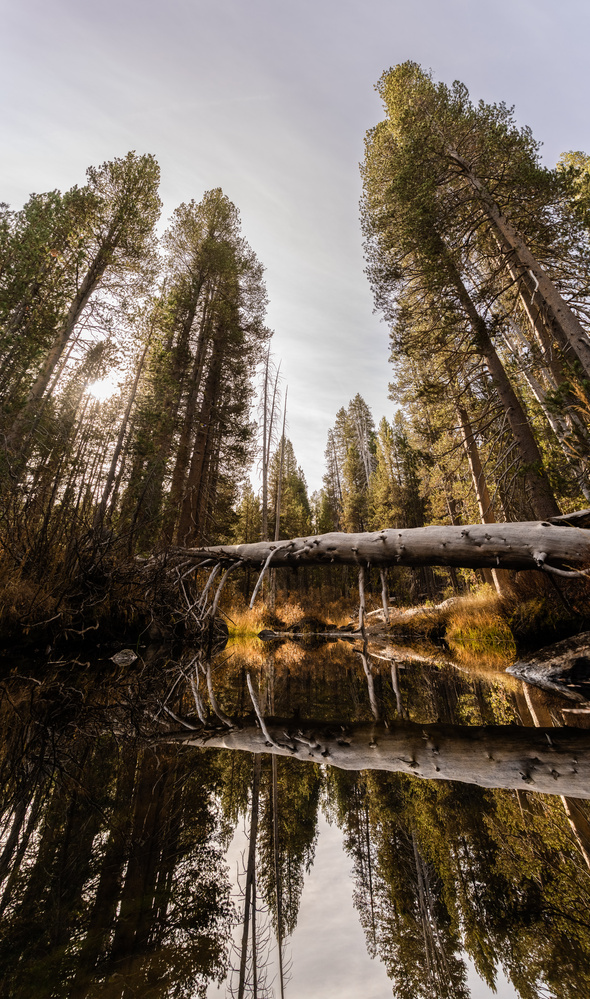 View Untitled 2 by Timothy Straight