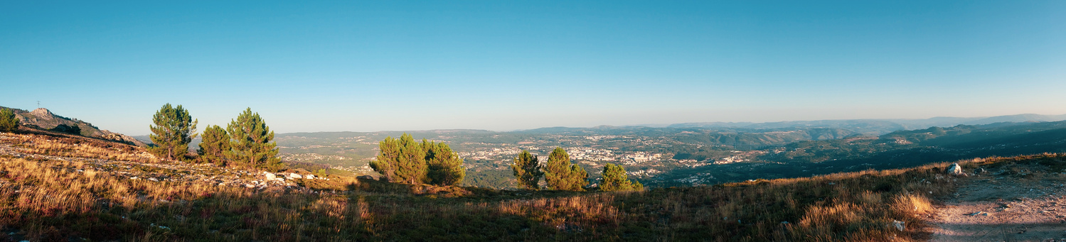 View Untitled 1 by Ricardo Monteiro