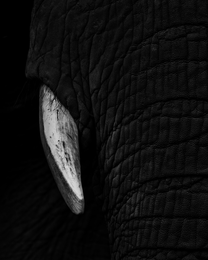 View Untitled 4 by Nik Lytle