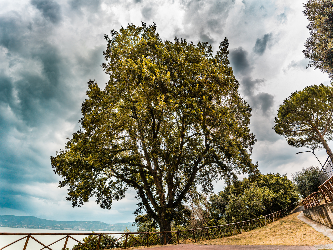 View Untitled 1 by Lorenzo Chiacchieroni