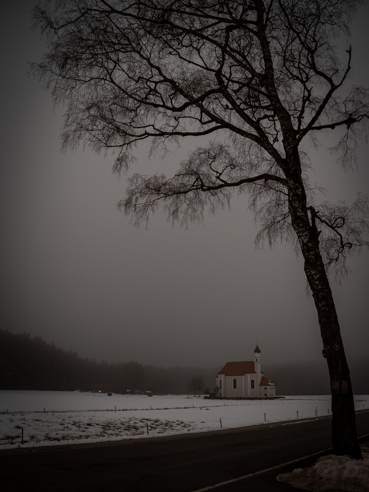 Small white chapel with a red roof sits across a snowy field under a fog-shrouded sky, framed by a bare birch tree in the foreground.