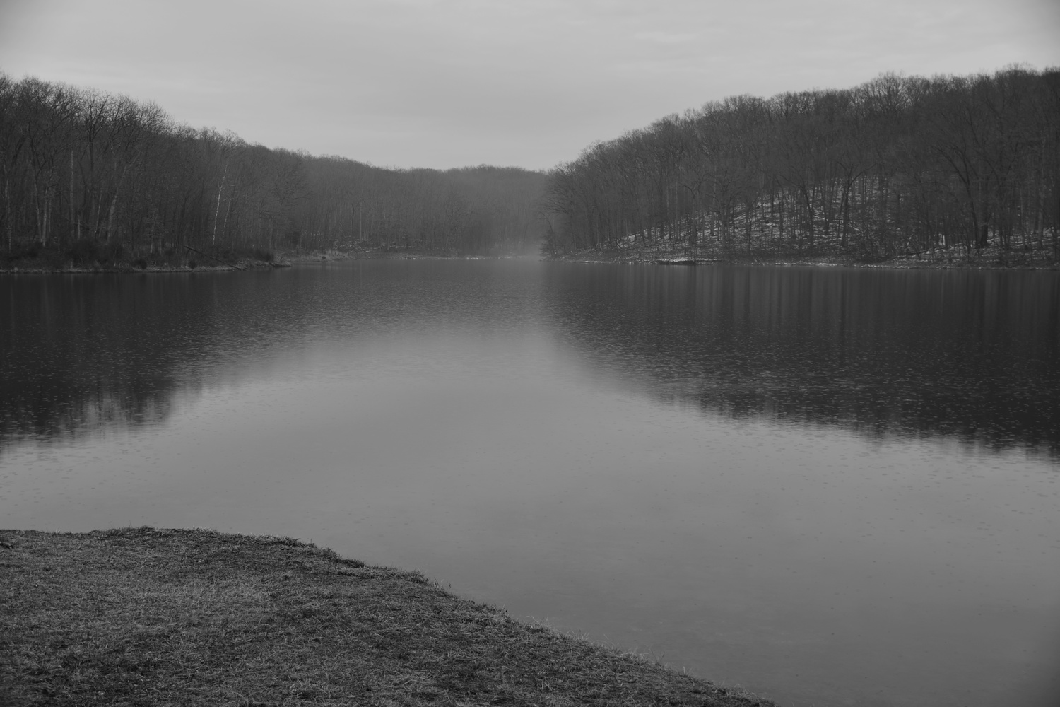 View Foggy Lake by Debb Briggs
