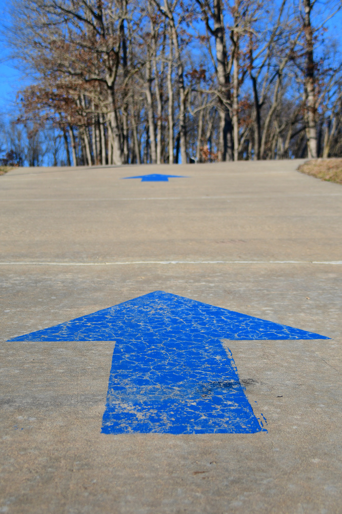View Always Moving Forward by Debb Briggs