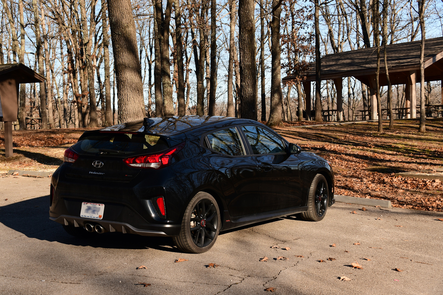 View Veloster by Debb Briggs