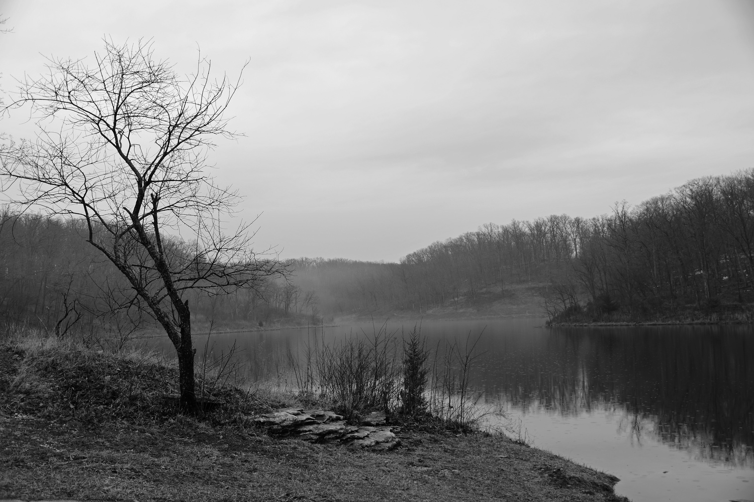 View Foggy Lake by Debb Briggs