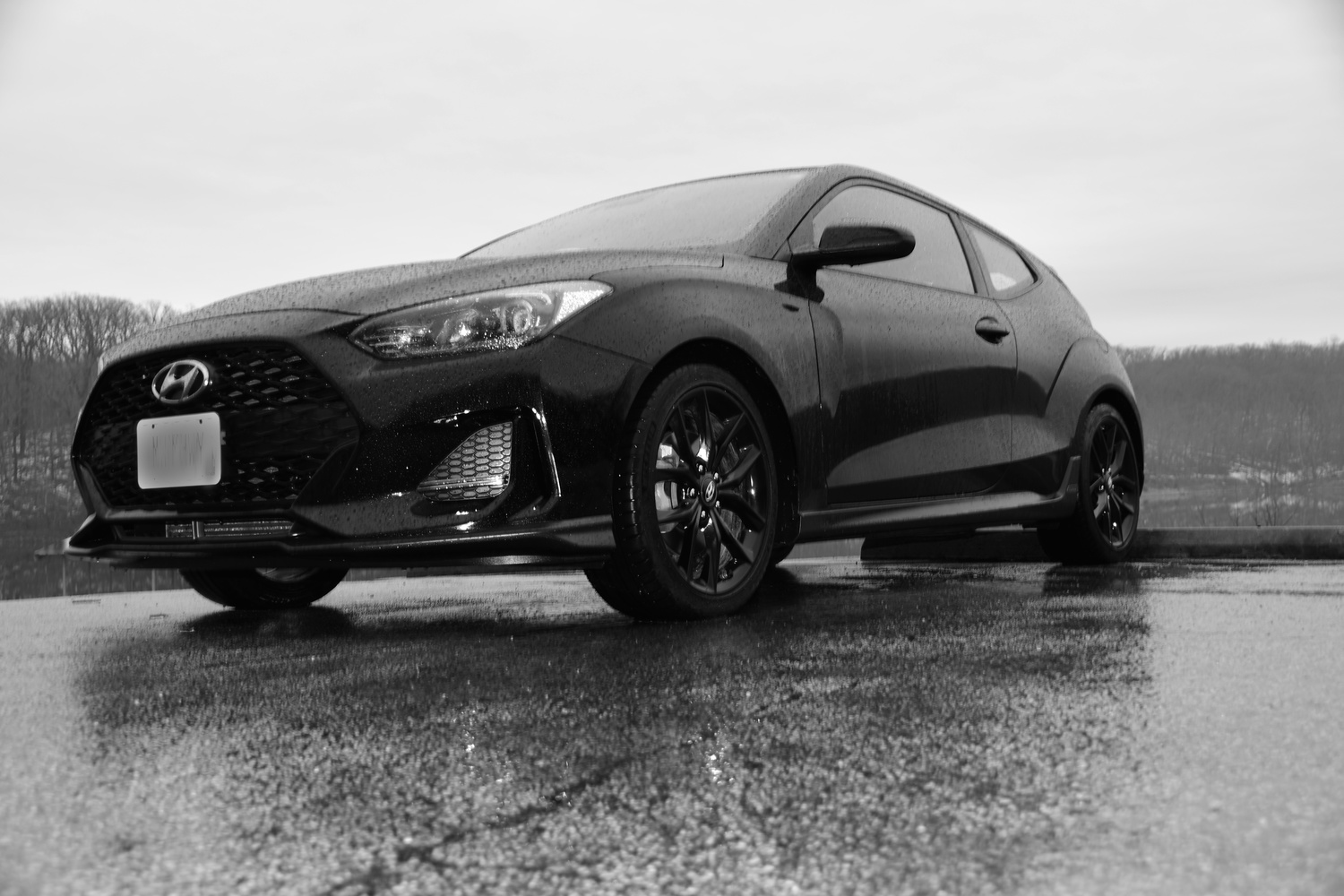 View Veloster by Debb Briggs