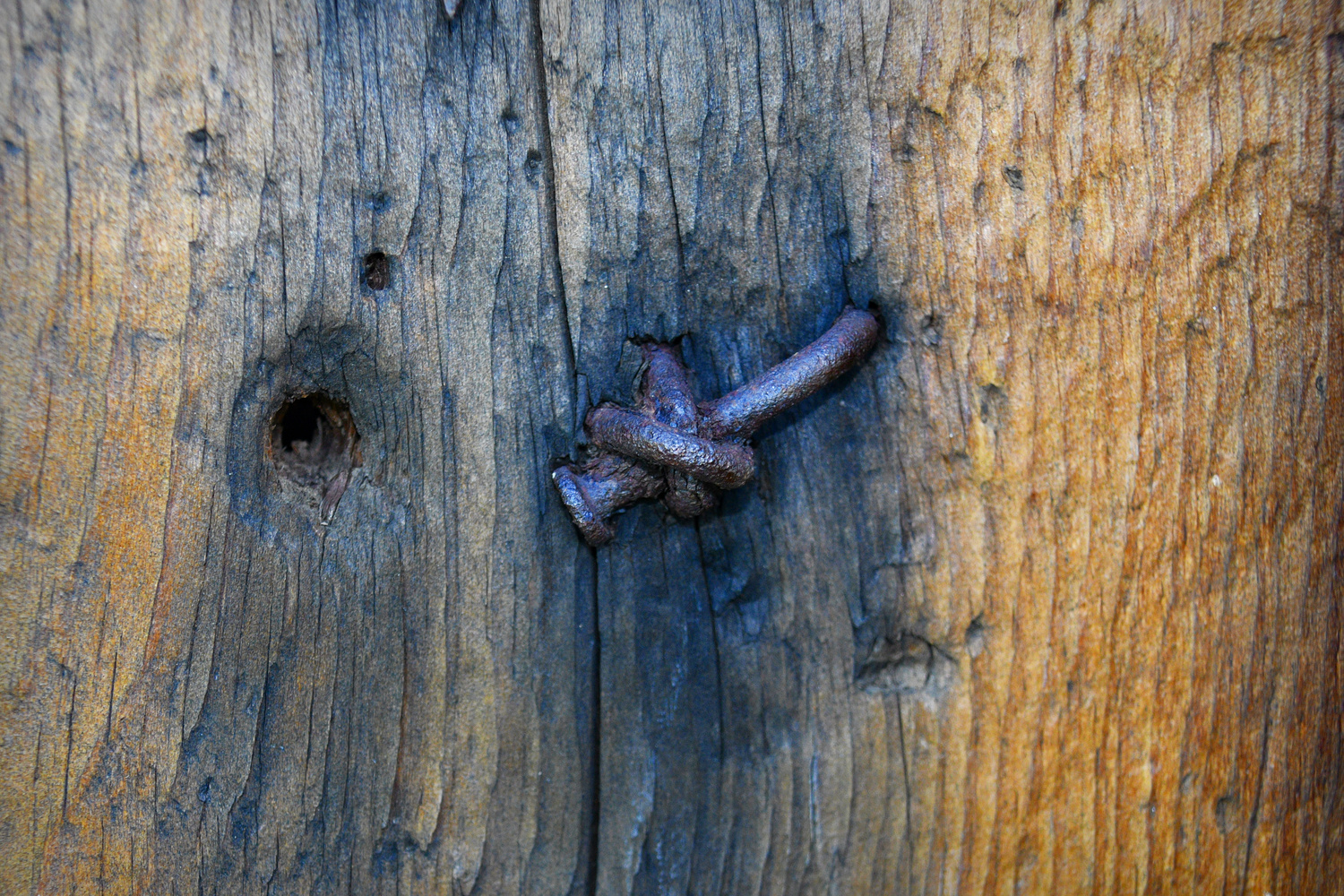 View Unique Nail on Wood by Debb Briggs