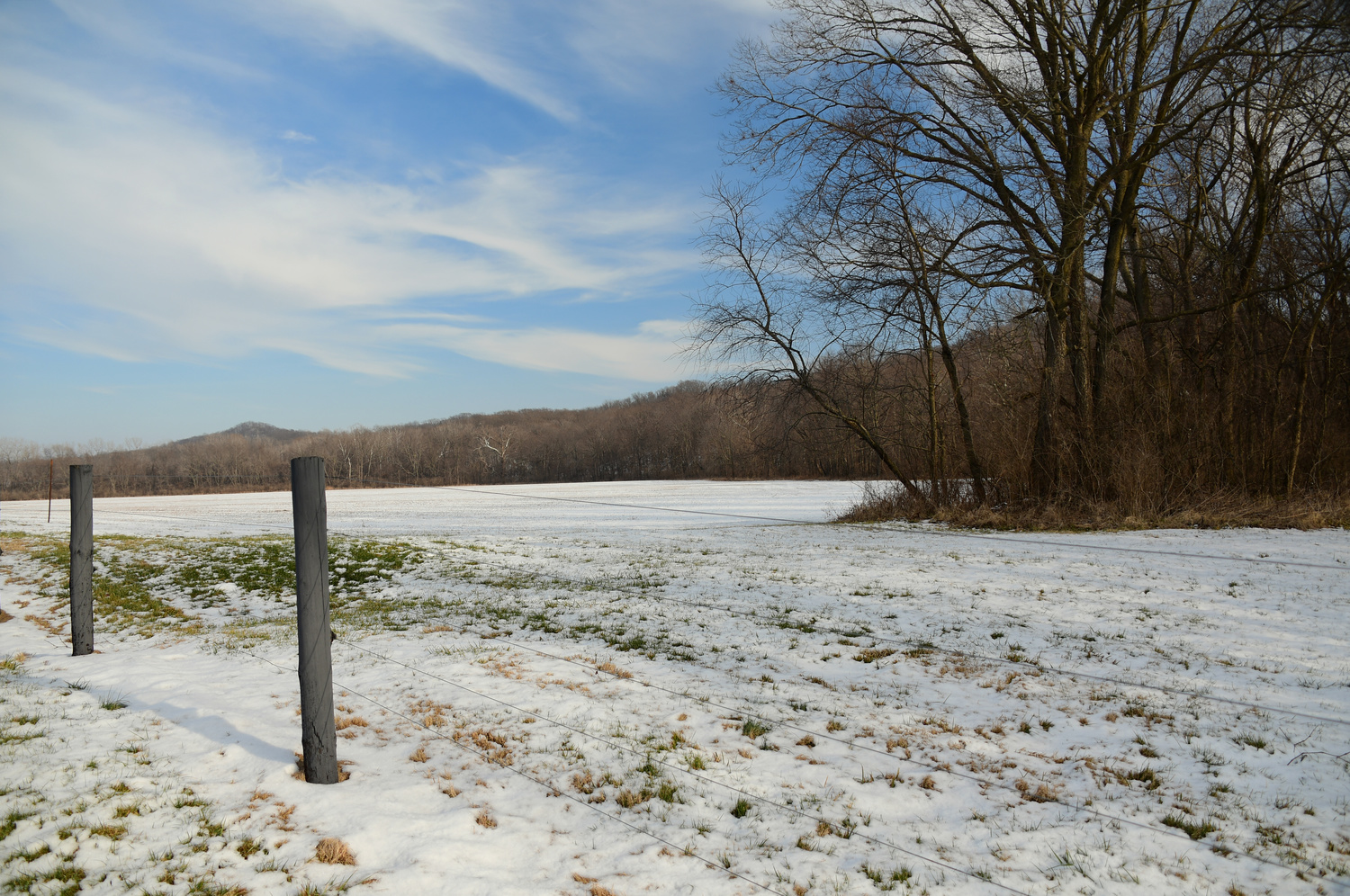 View Blue Sky and Snow by Debb Briggs