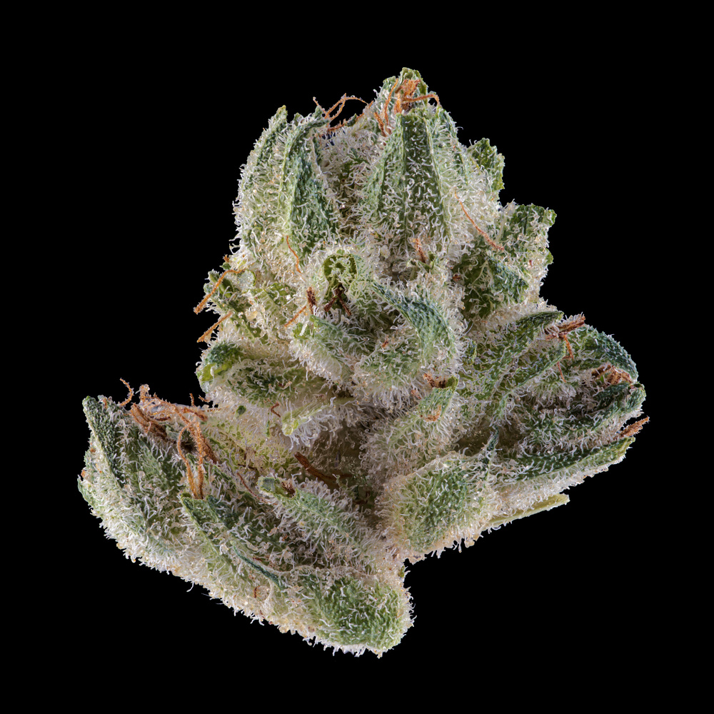 View Untitled 9 by Ryan Hoch