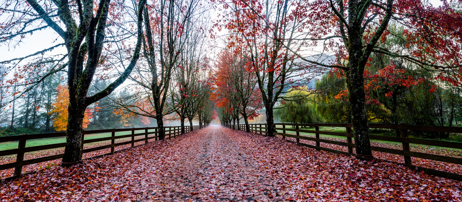 View Untitled 2 by Rakesh Kumar