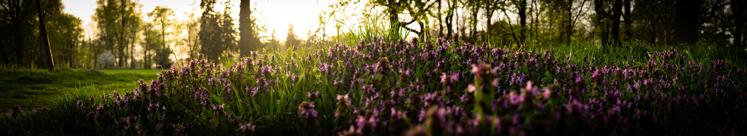 View Untitled 1 by Juraj Staracek