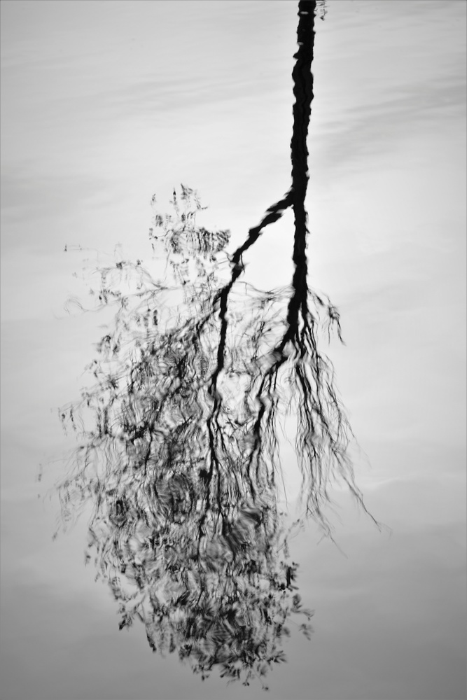 View Reflecting by Patrick Ruymaekers
