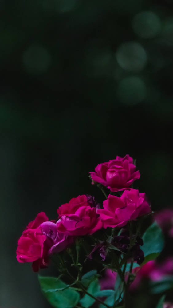 View Untitled 5 by Apostolos Margiolis