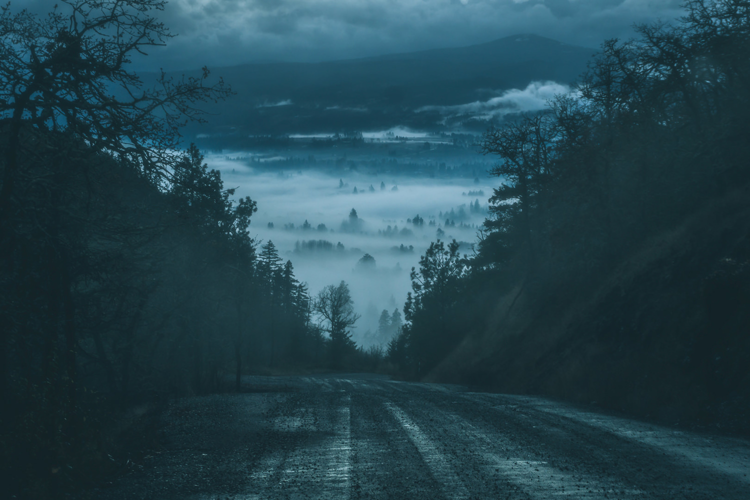 View Untitled 7 by Ryan Fernette