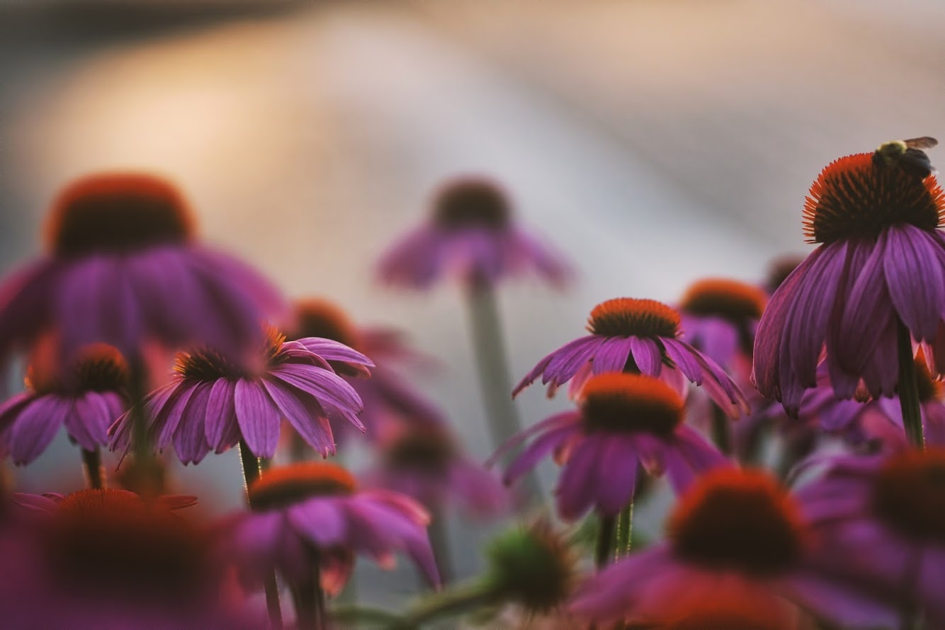 View Untitled 6 by Sam Beall