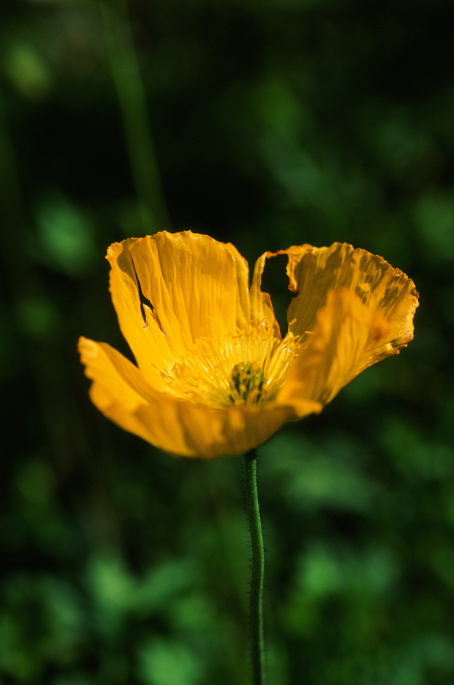 View Untitled 2 by Chris McLean