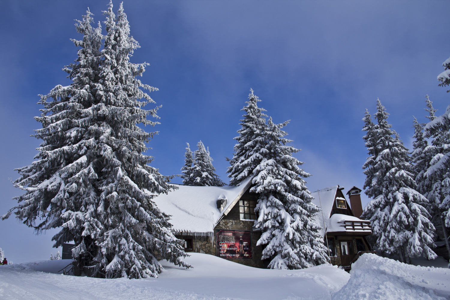 View Snow white by Metin Cetin