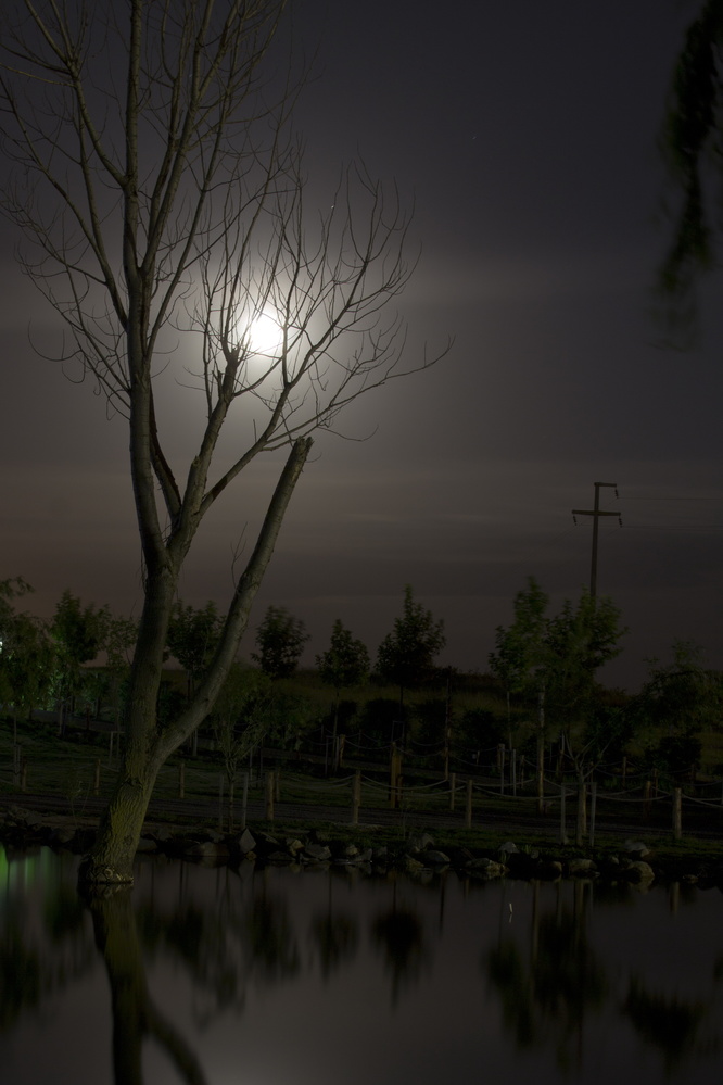 View Night at the lake by Metin Cetin