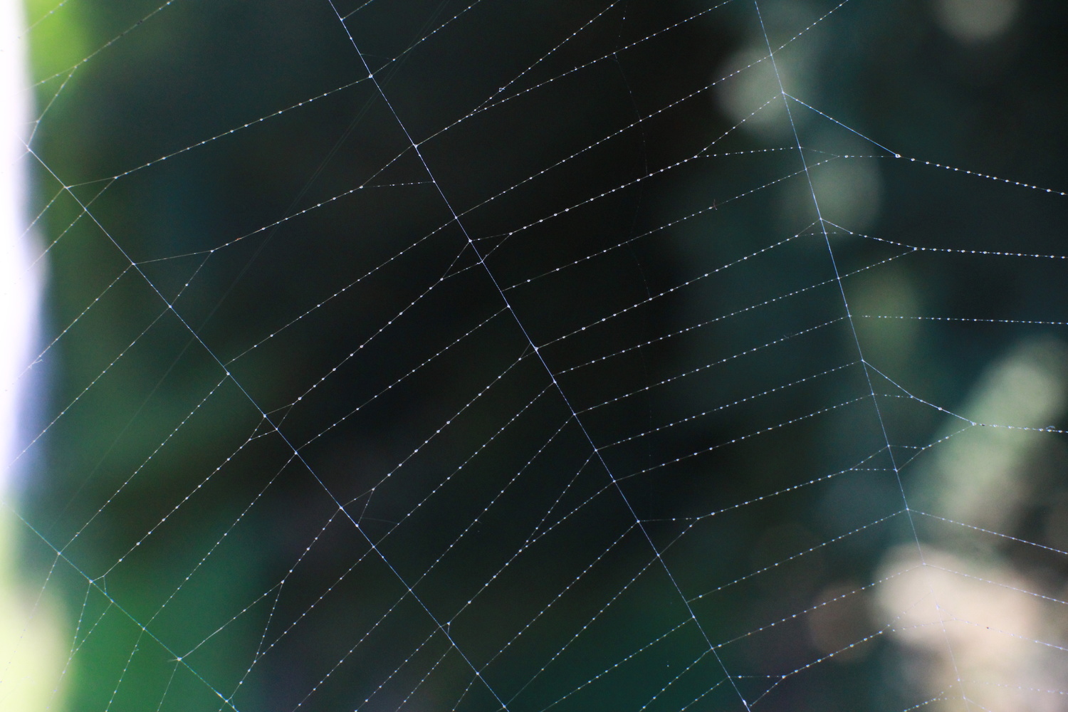 View Web by Metin Cetin