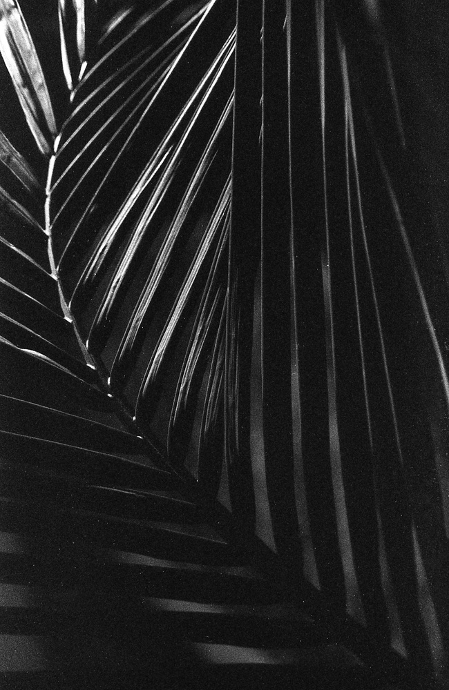 View Untitled 3 by Stephen Paul