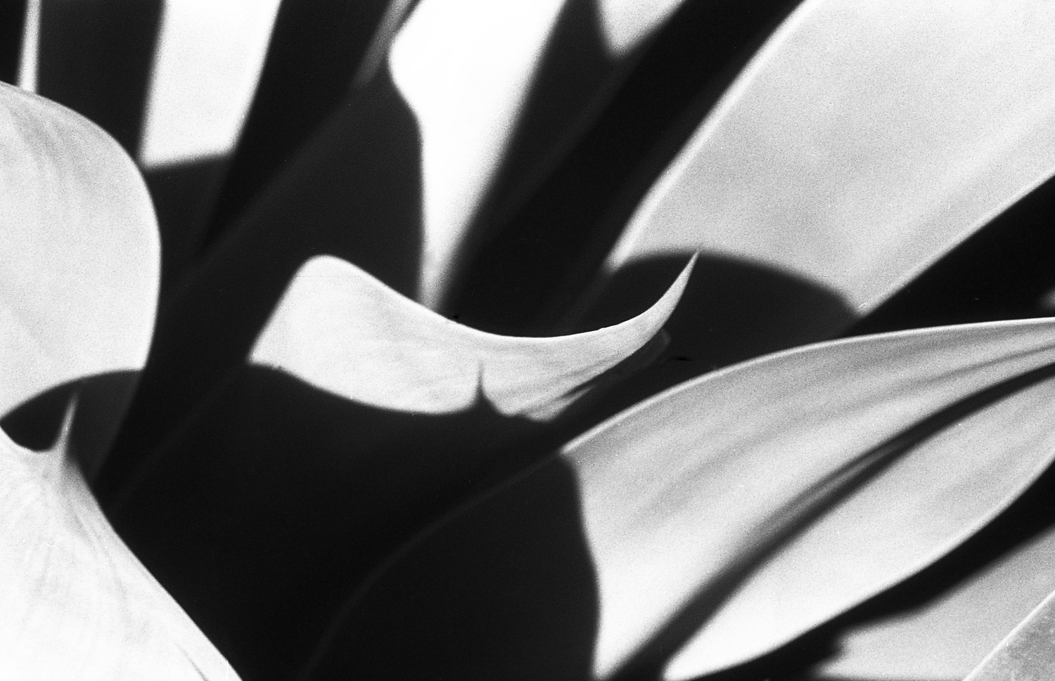 View Untitled 4 by Stephen Paul
