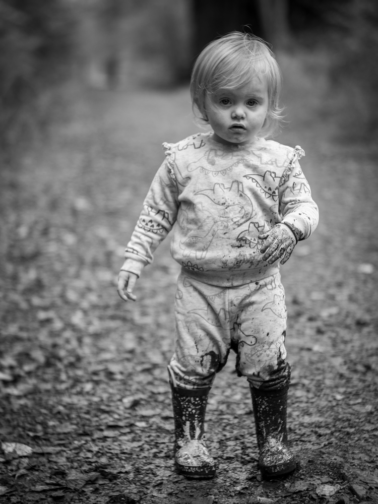 View Muddy Puddle by Thomas Roscoe