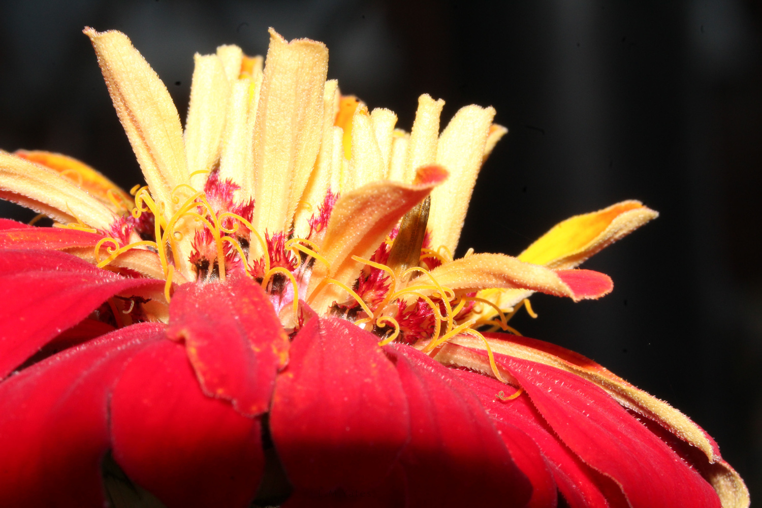 View Untitled 2 by Lin Yates