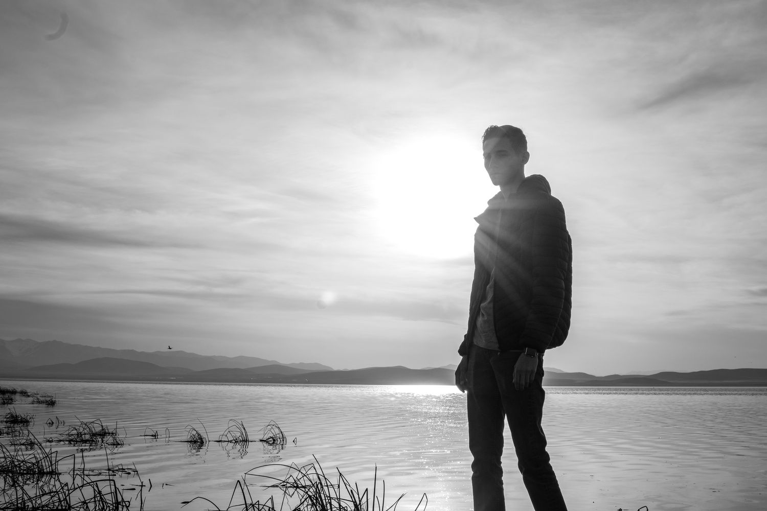 View Untitled 1 by Shawn Thorne