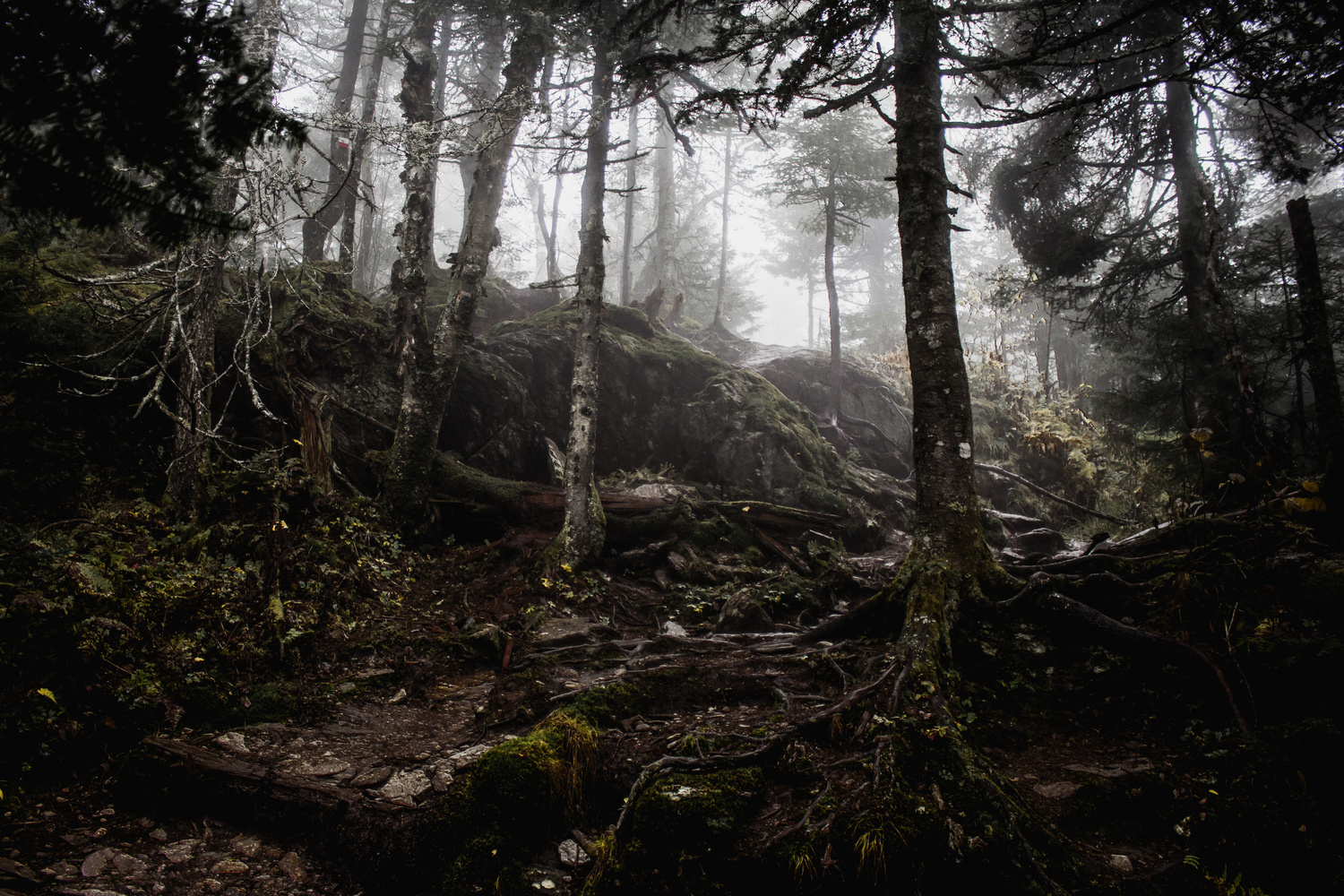 View Untitled 3 by Jean-Sébastien Brkich