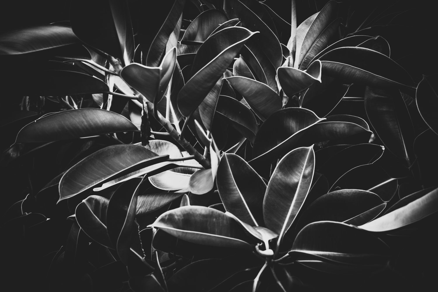 View Untitled 2 by Will Britt