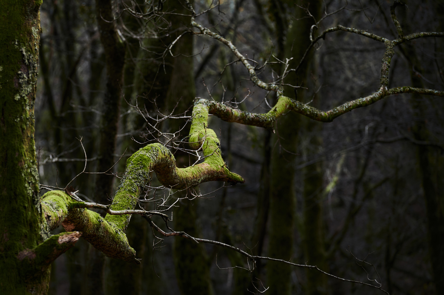 View Untitled 6 by Jon Zumalabe