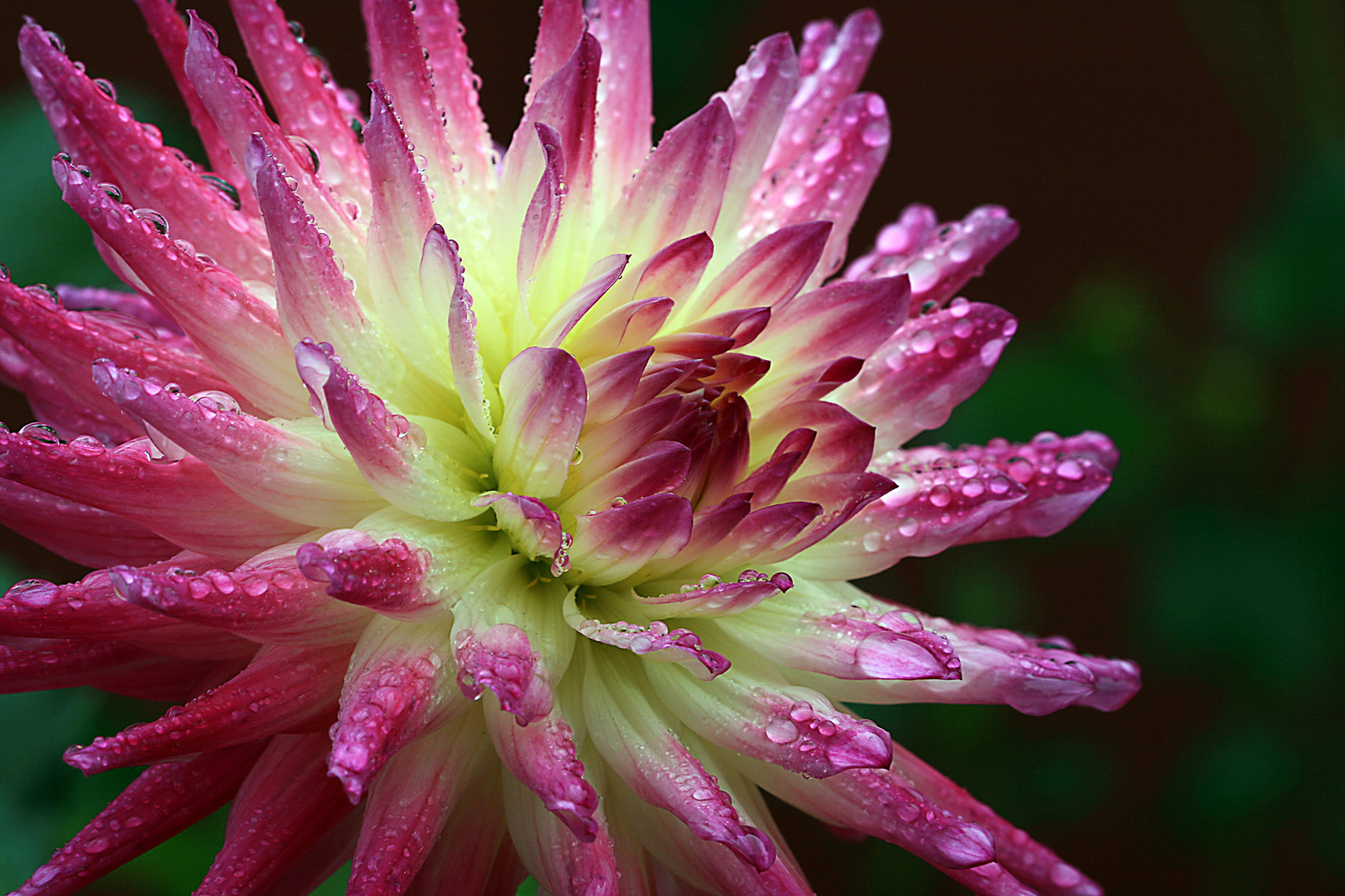 View Untitled 1 by James Zandecki