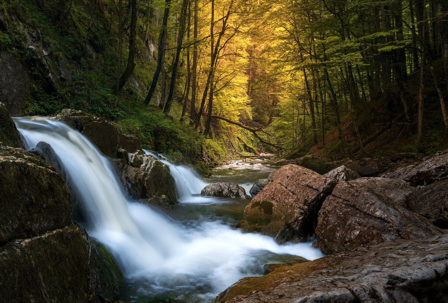 Cascading waterfall flowing through a forested stream with golden canopy light