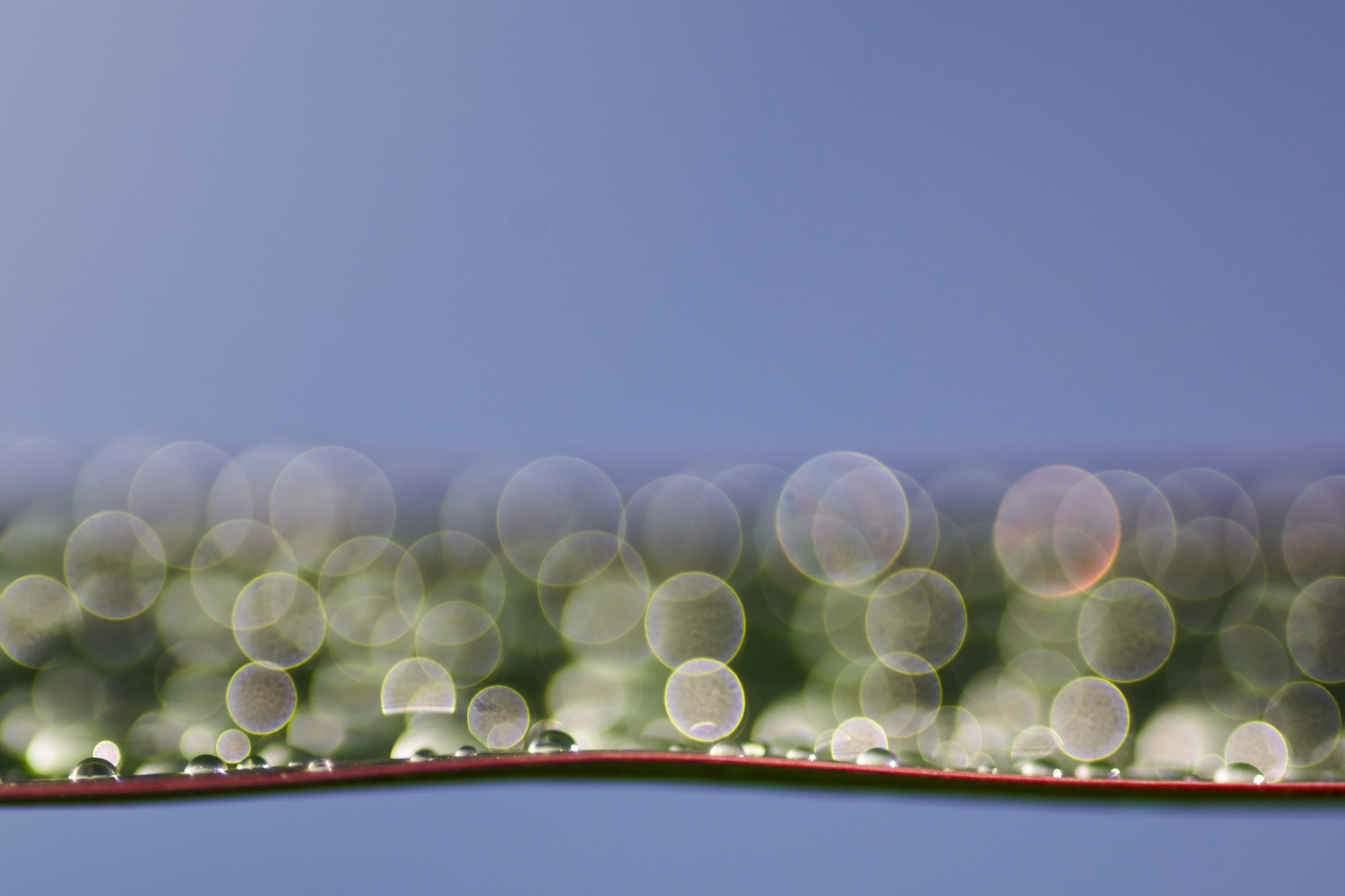 View Untitled 1 by Marian M.
