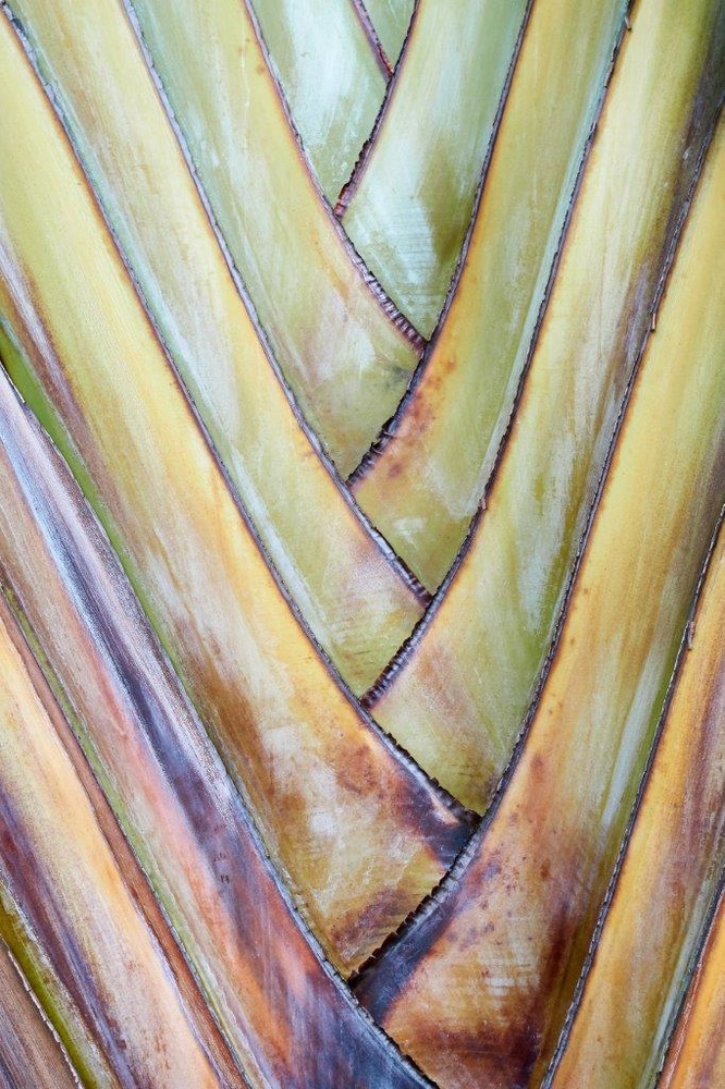 View Untitled 2 by Marian M.