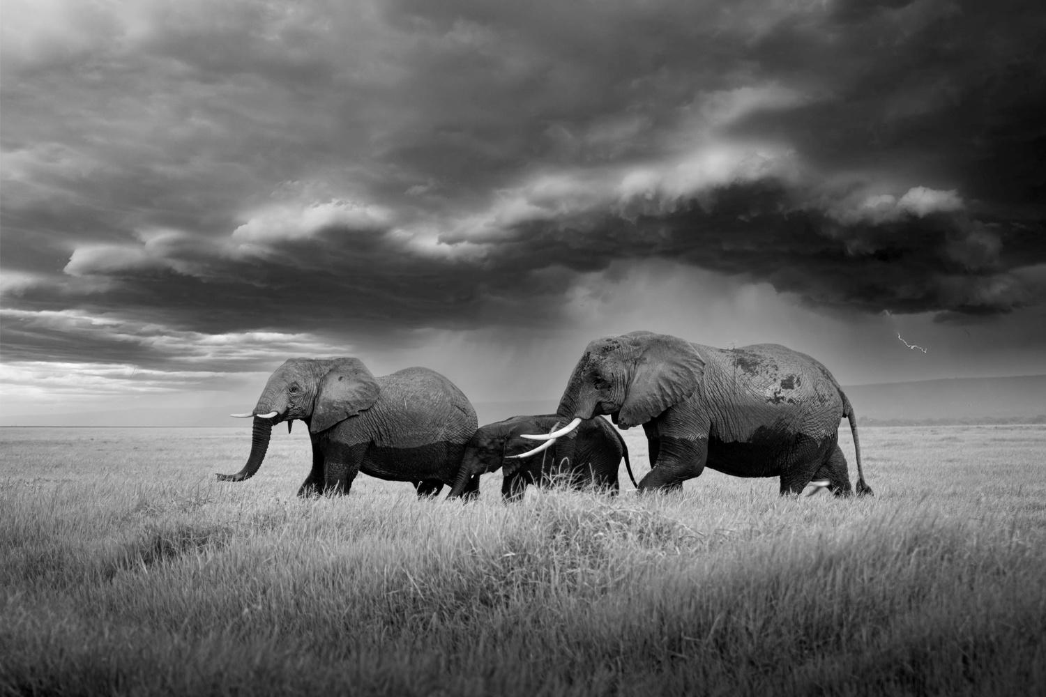 View storm by Maria Nemeth