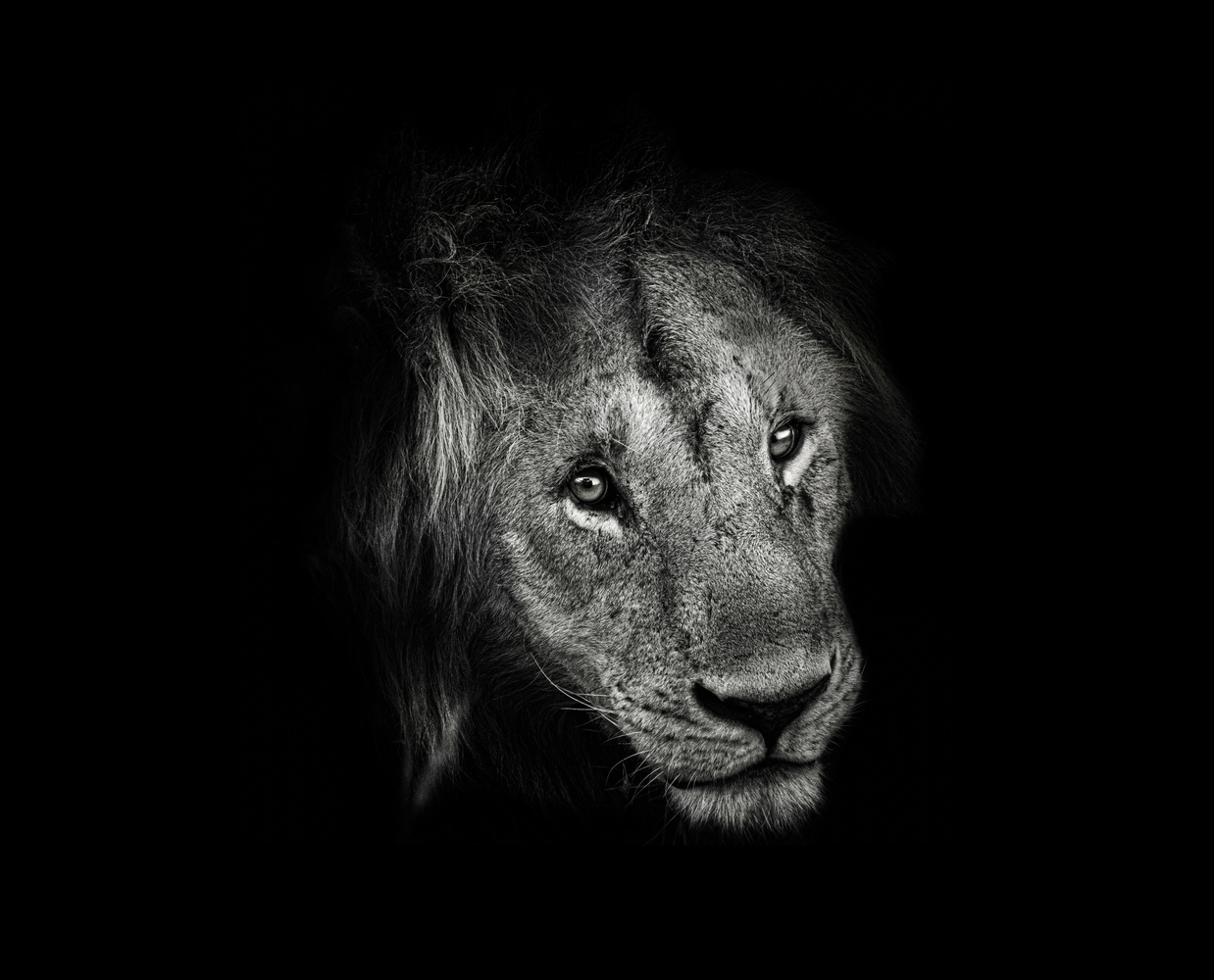 View up close and personal by Maria Nemeth
