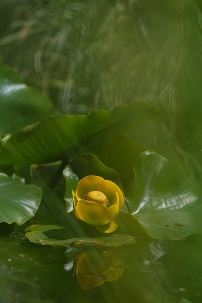 View Untitled 1 by Gabriele Nunnari