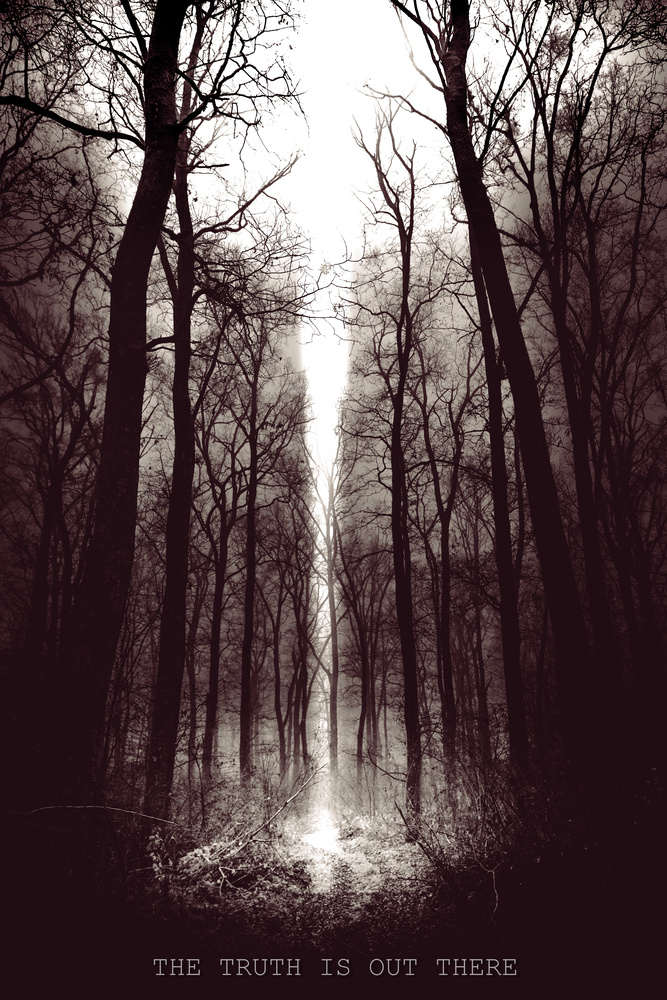 View Untitled 4 by Stipica Vrbat