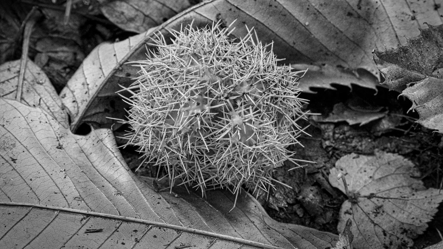 View Untitled 1 by Stuart Sykes
