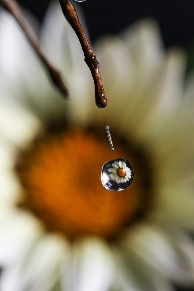 View Untitled 1 by Ademir Oliveira