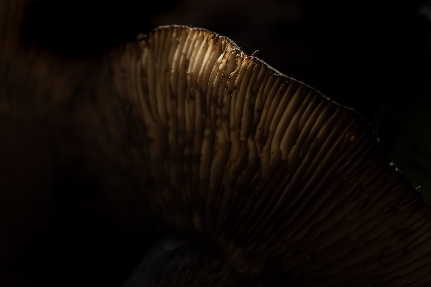 View Untitled 2 by Mike Esparza