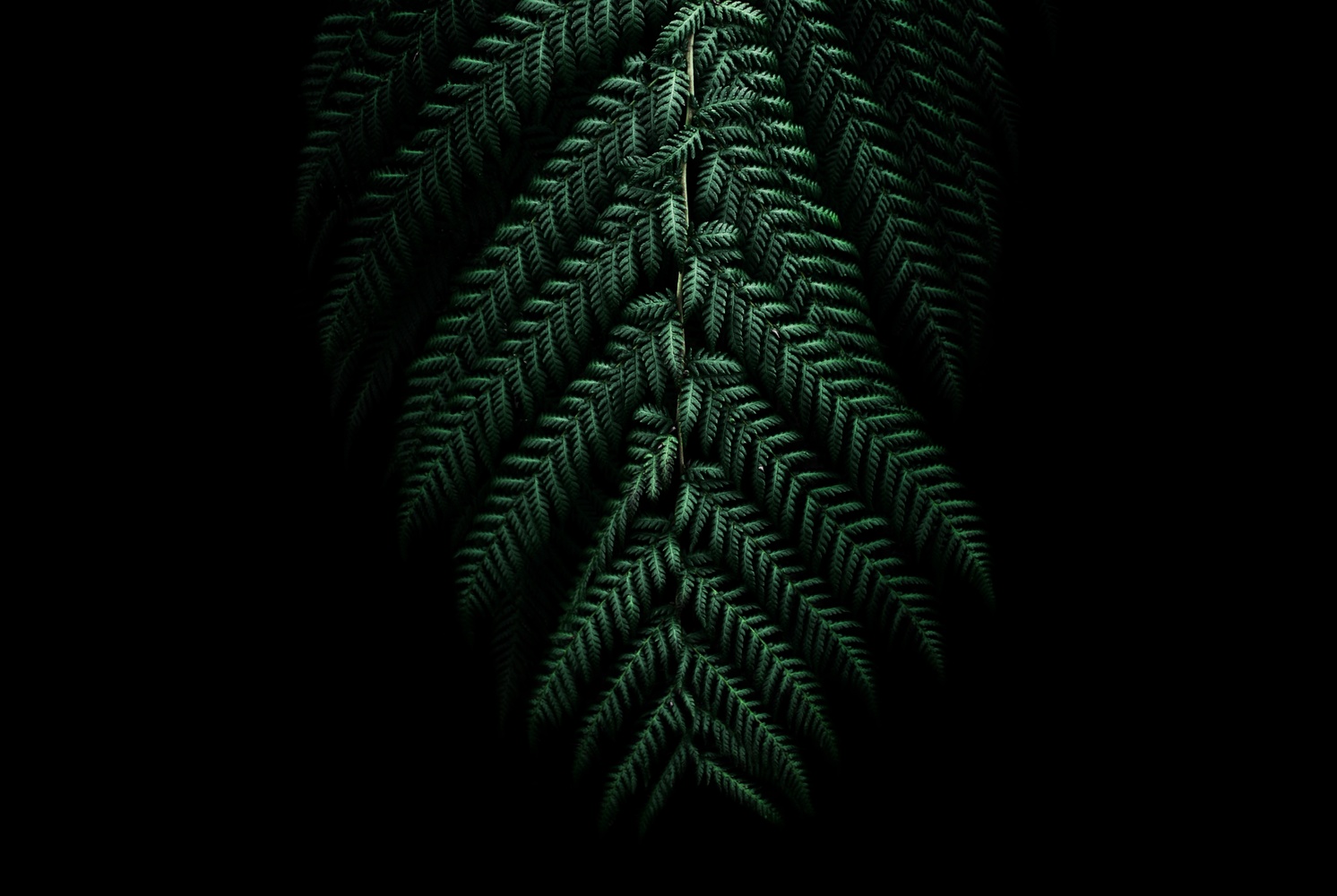 View Untitled 2 by Jack Woodcock