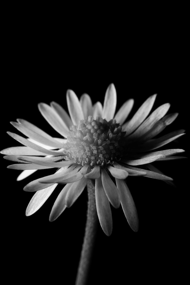 View Untitled 1 by Aaron Hoessels