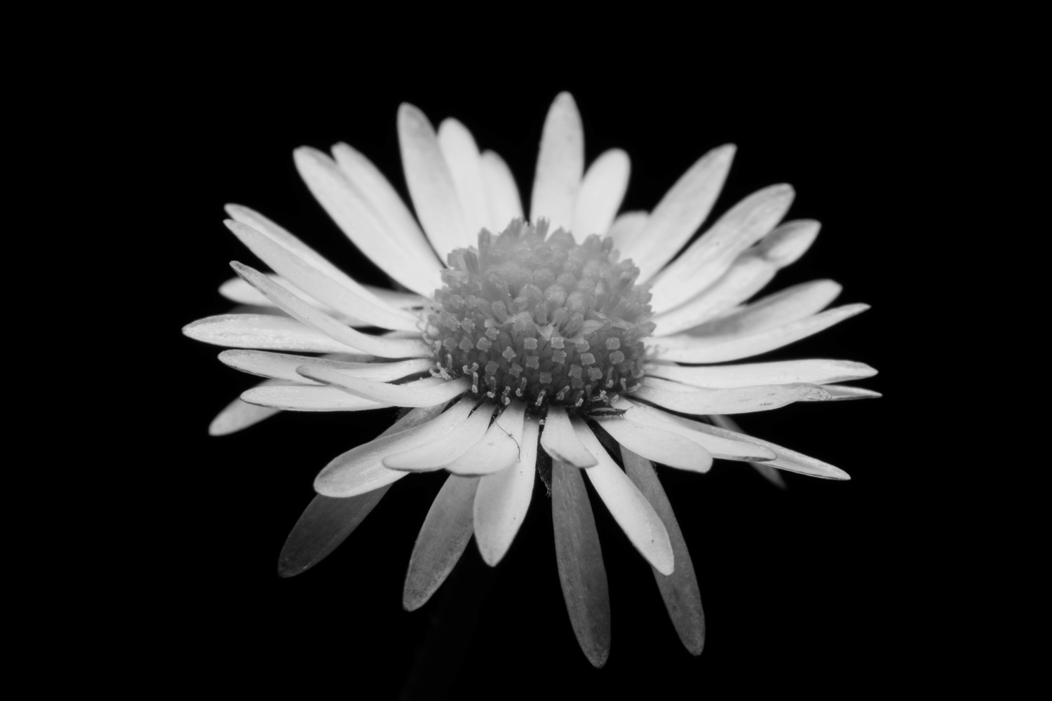 View Untitled 2 by Aaron Hoessels