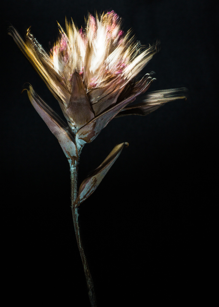 View Untitled 1 by Andrew Legere