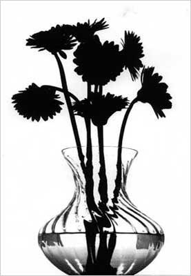 View Untitled 1 by Rohit Tickoo