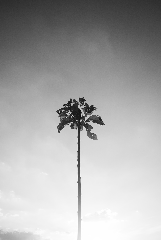 View Untitled 1 by Josue ManRu