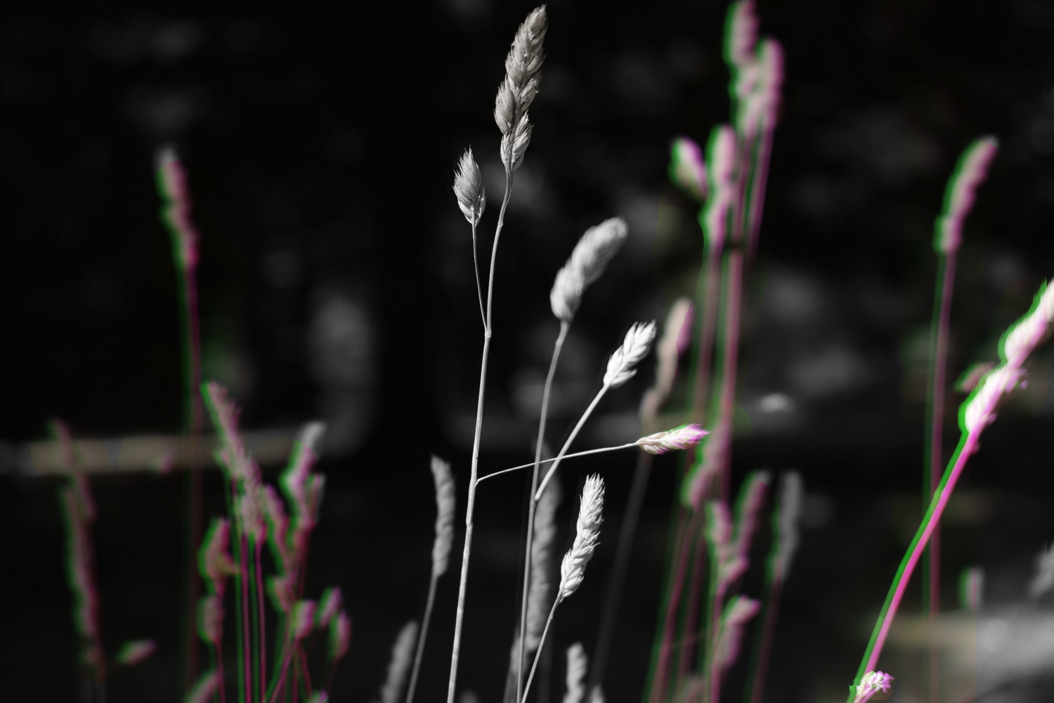 View Untitled 1 by owain collins